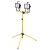 00x_halogen2x500W.jpg